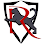 Robust Paint Protection & Auto Detailing
