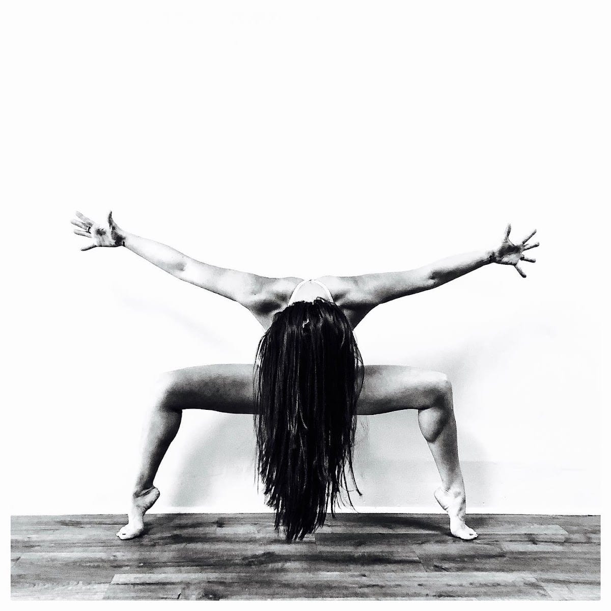 Dancing Dog Studio, photo 3