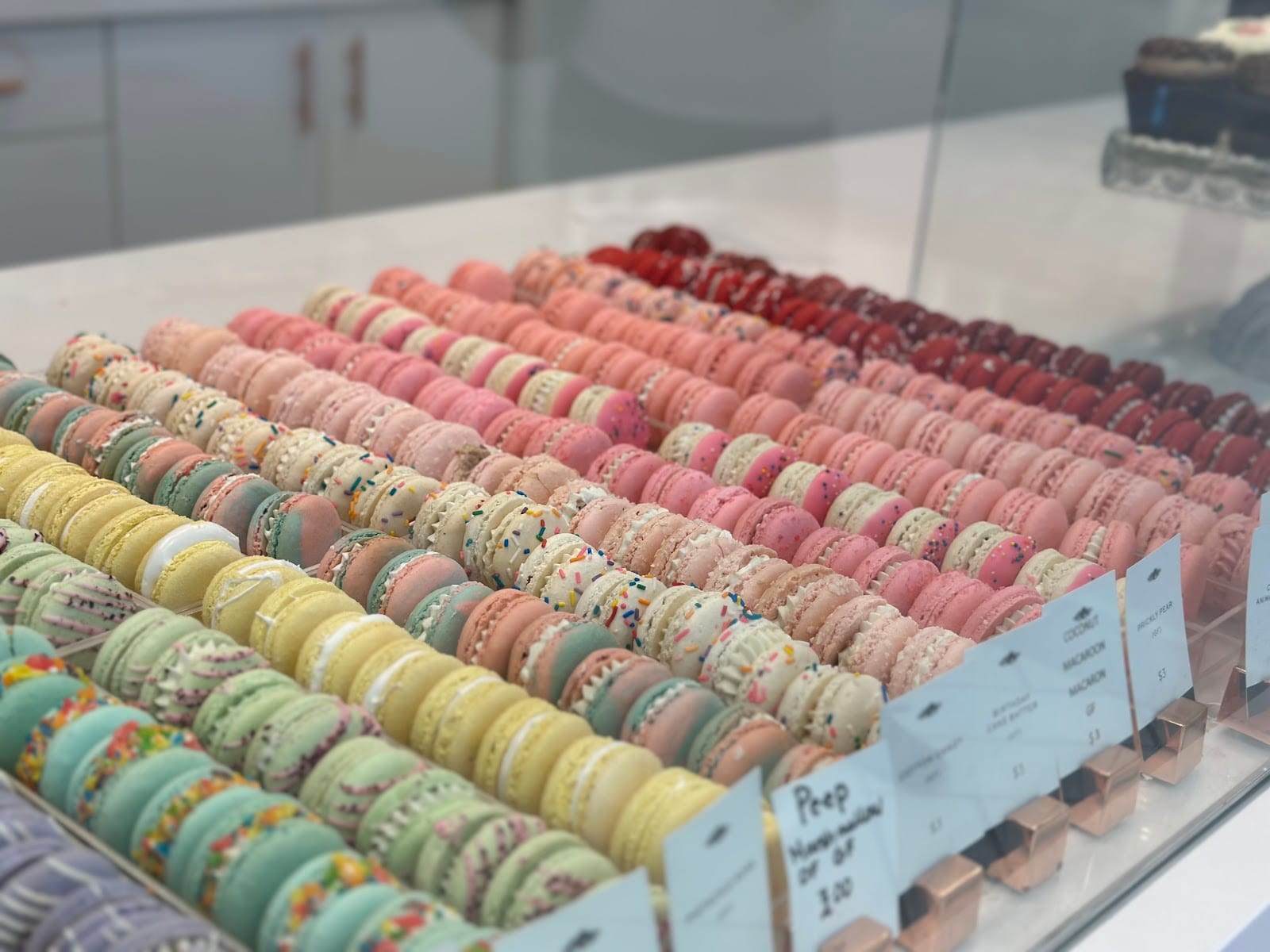 Růže Cake House, photo 4
