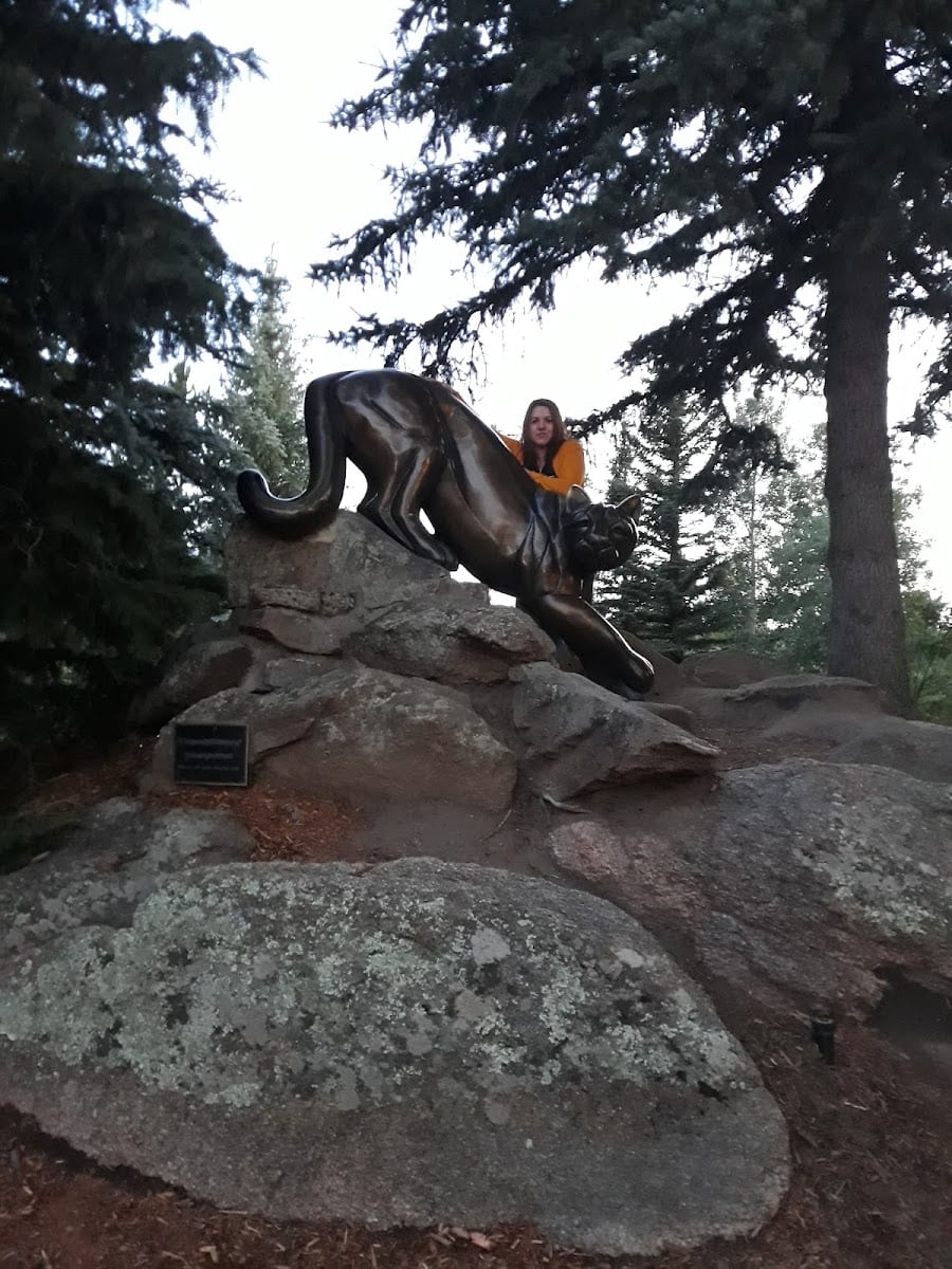 Estes Park Playground, photo 3