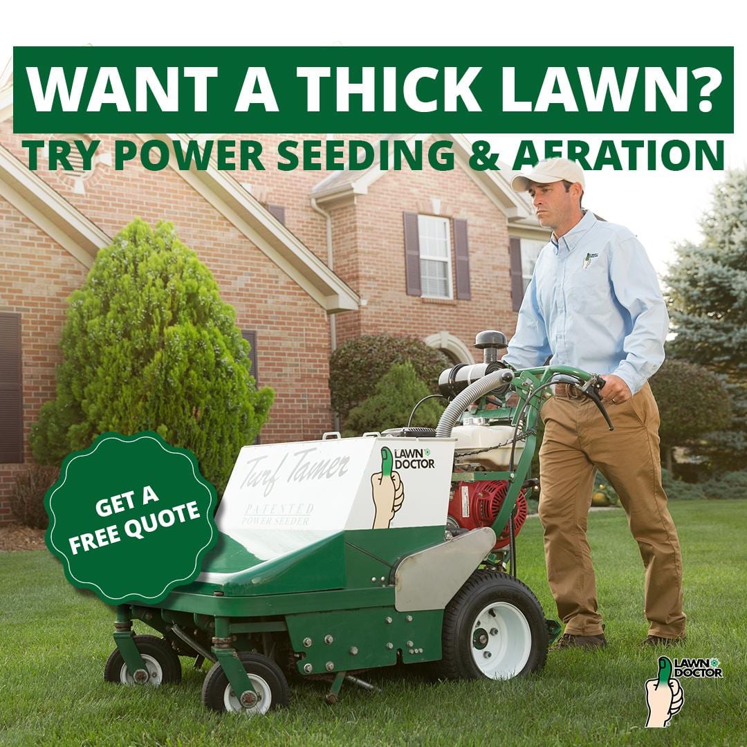 Lawn Doctor of Rochester, photo 3
