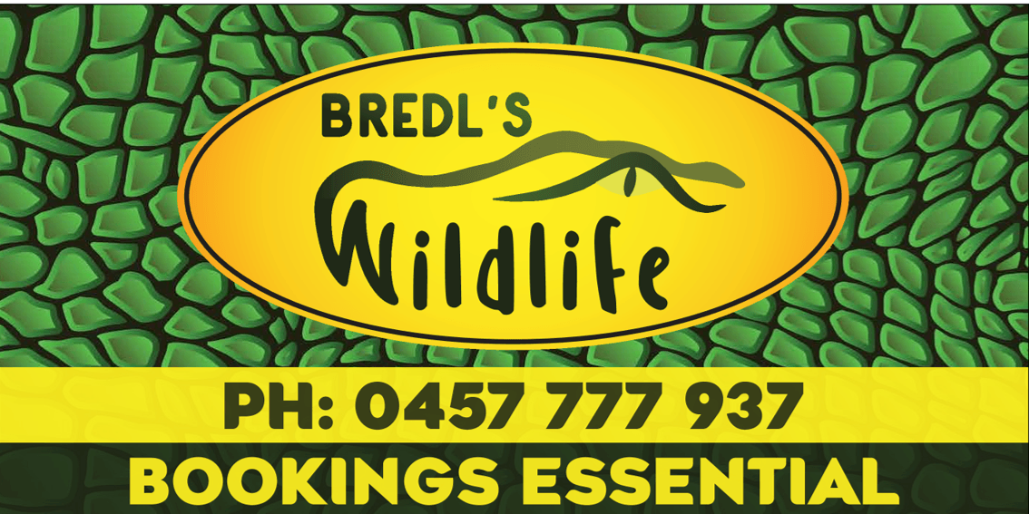 BREDL'S WILDLIFE, photo 2