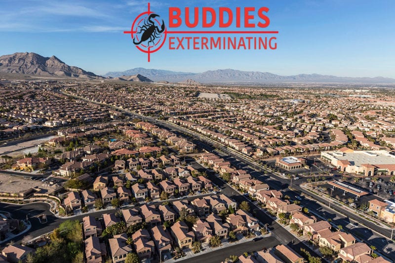 Buddies Exterminating LLC