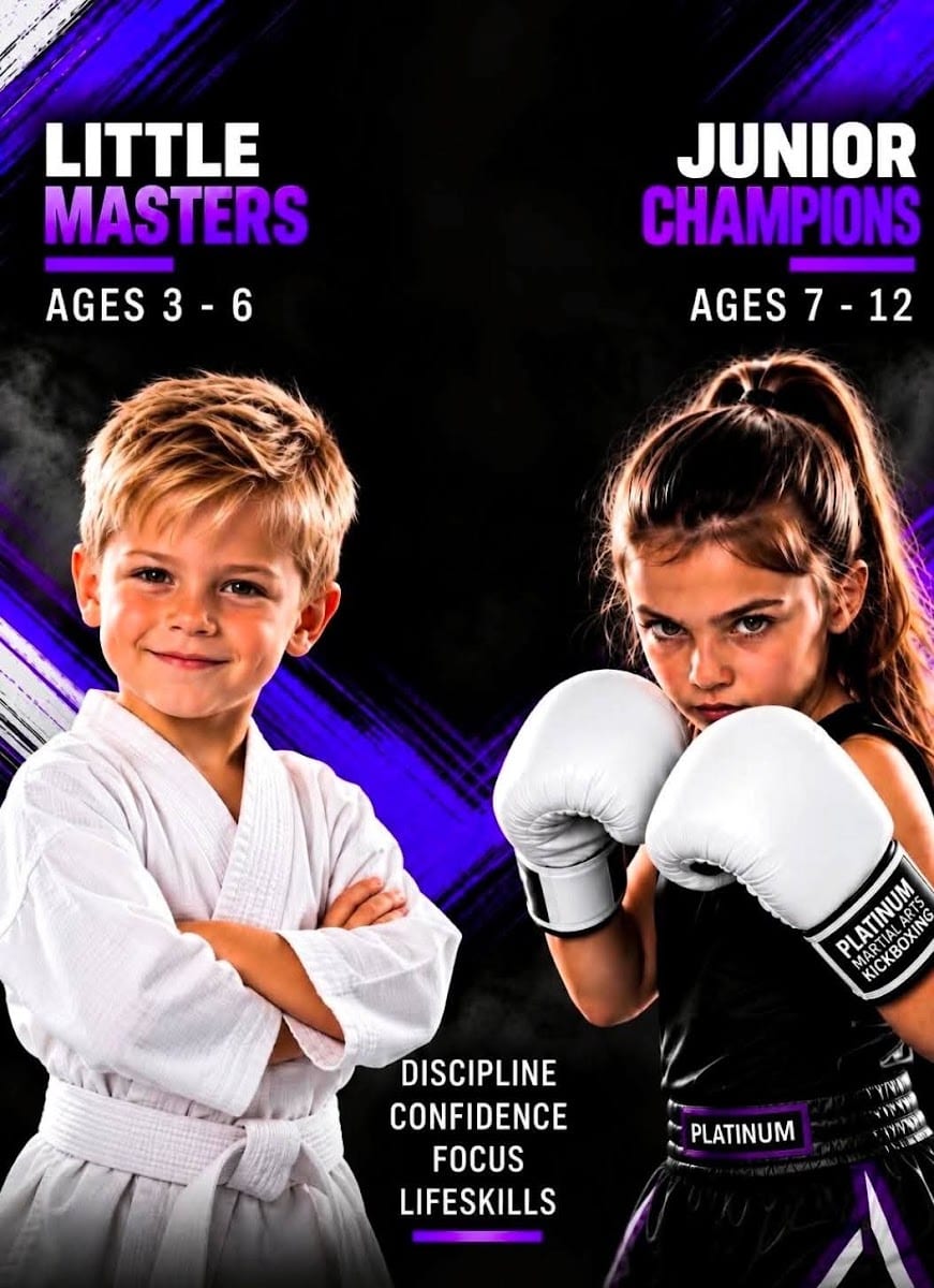 PLATINUM MARTIAL ARTS KICKBOXING SOUTH TAMPA, photo 3