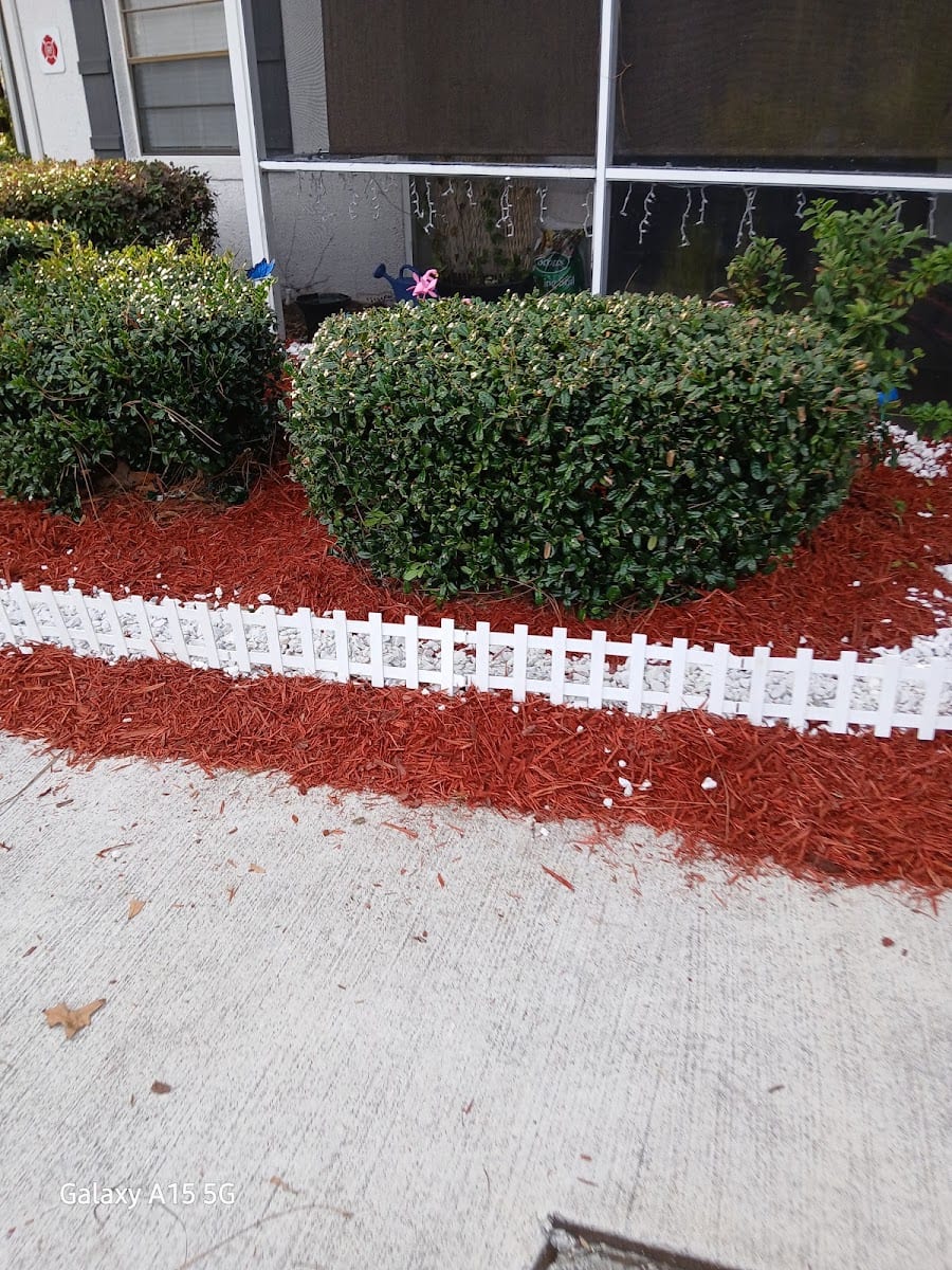 Arbors at Orange Park Tennis Court