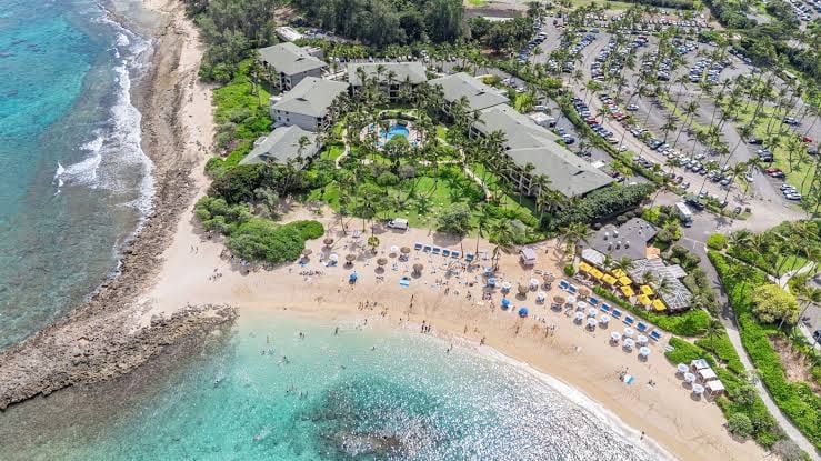 Ocean Bungalows at Turtle Bay Resort, photo 3