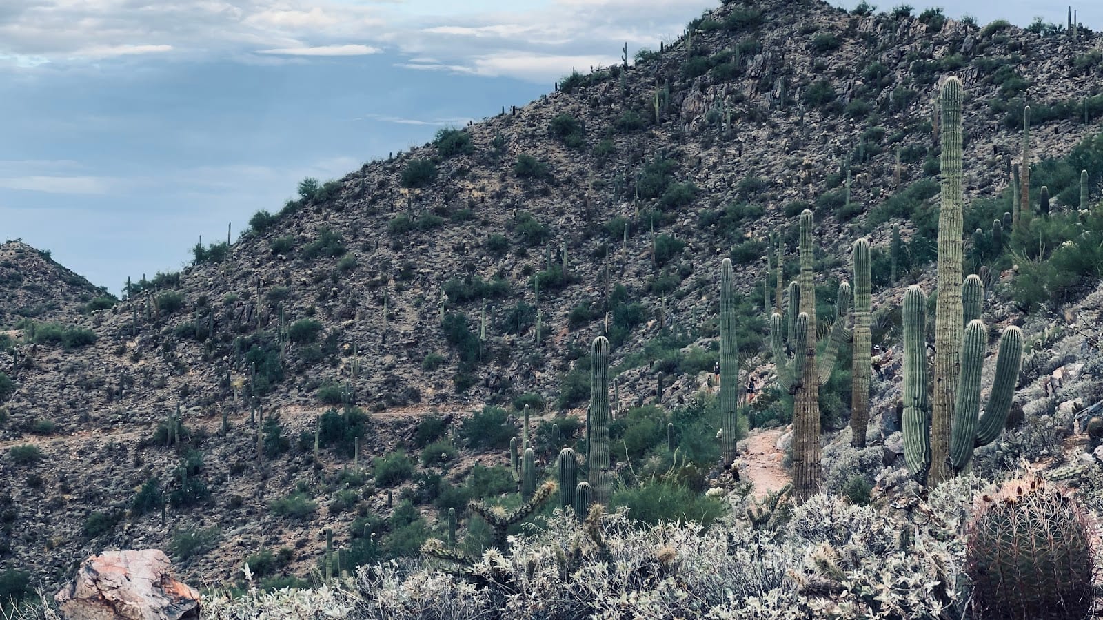 Sunrise Peak
