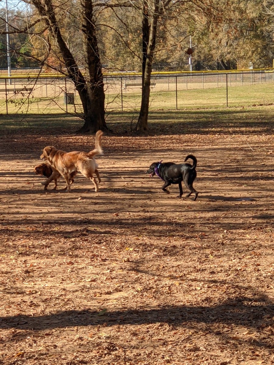 Nettles Dog Park