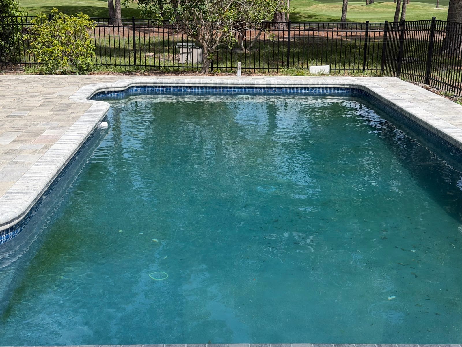 Amazing pools and pavers inc, photo 3