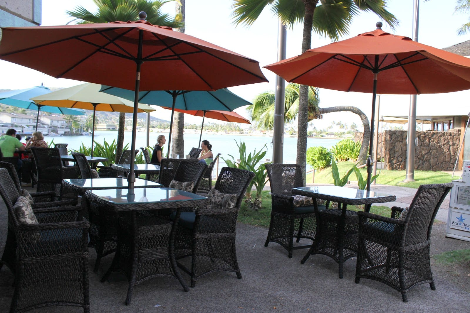 Island Brew Coffeehouse, photo 3