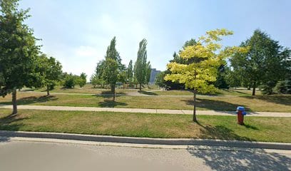 Langstaff Park Playground