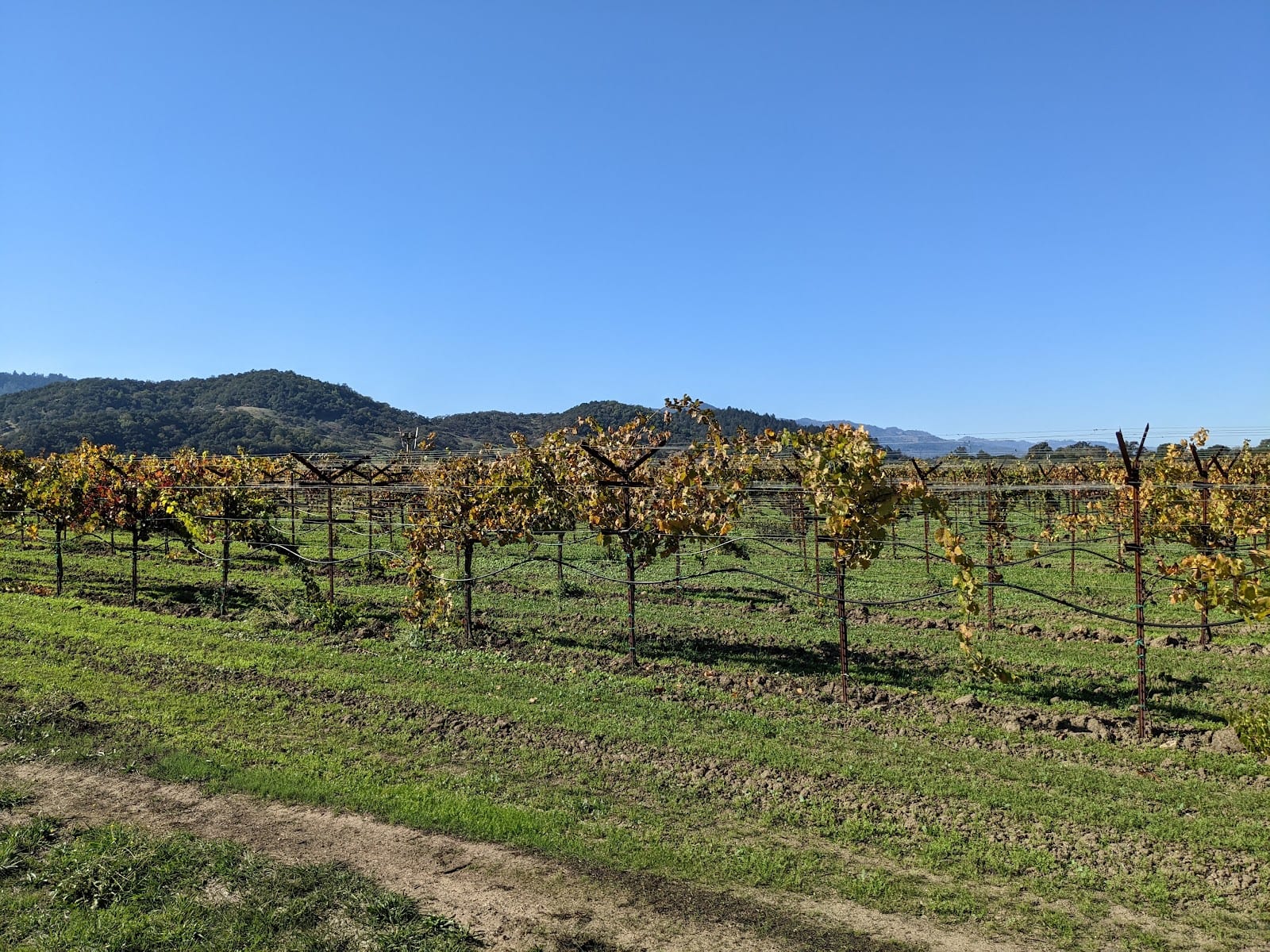 Napa River Trail