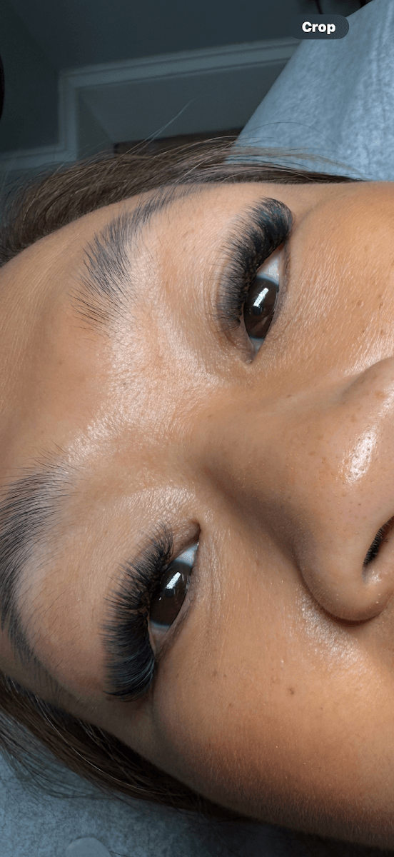 The Beauty Frequency, photo 3