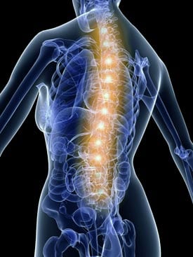 Thrive Chiropractic Group