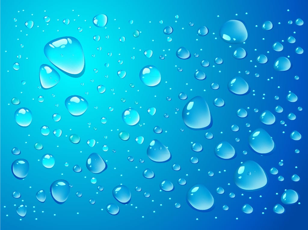 Mr. H2O Mobile Wash & Detail