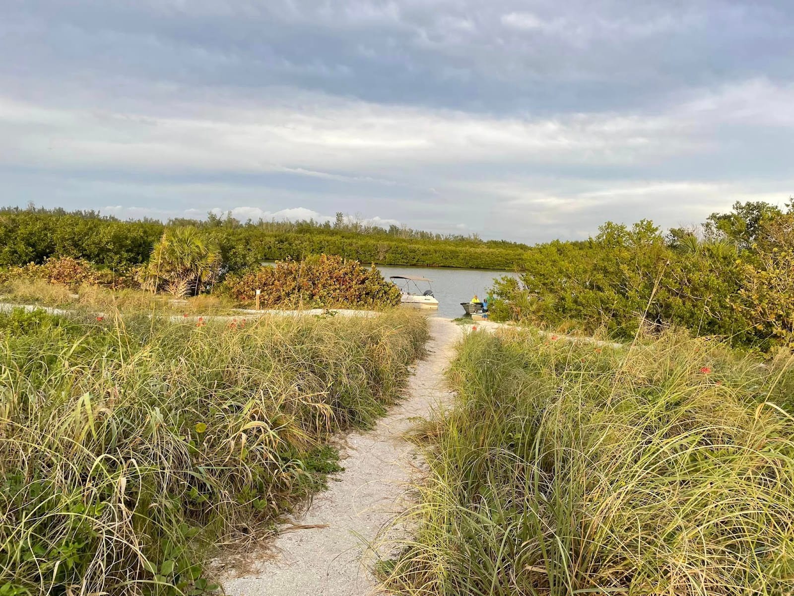 Palmer Point Park, photo 3