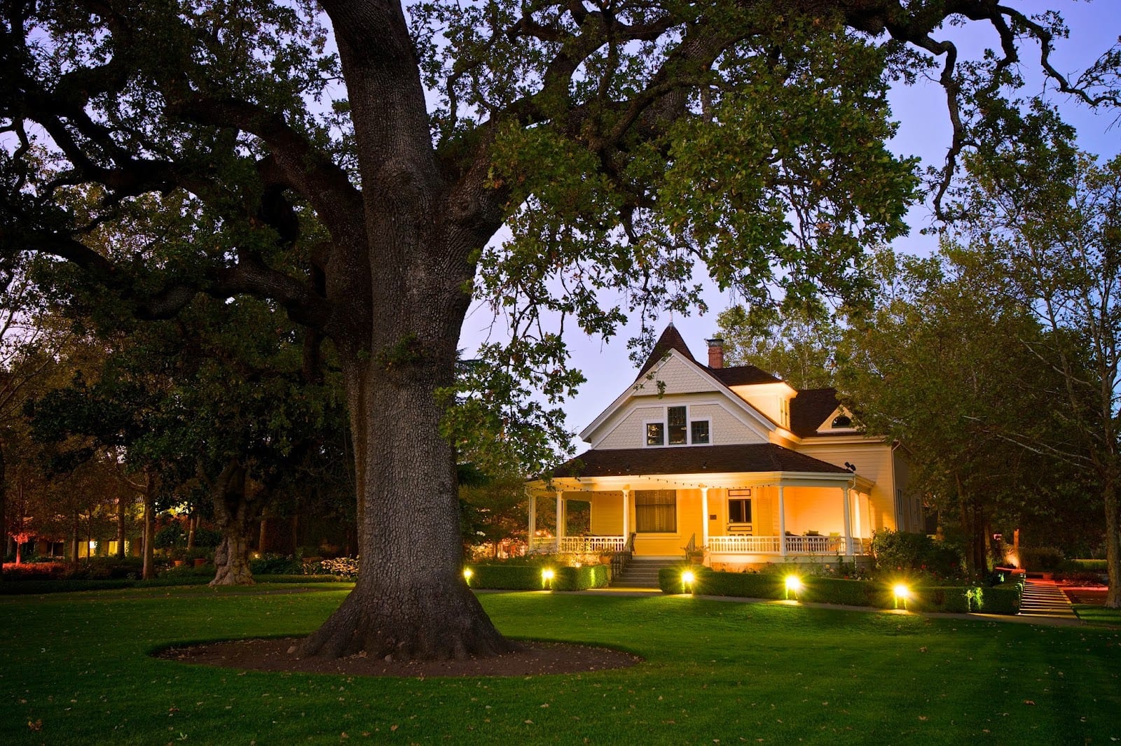 St. Supéry Estate Vineyards & Winery, photo 4