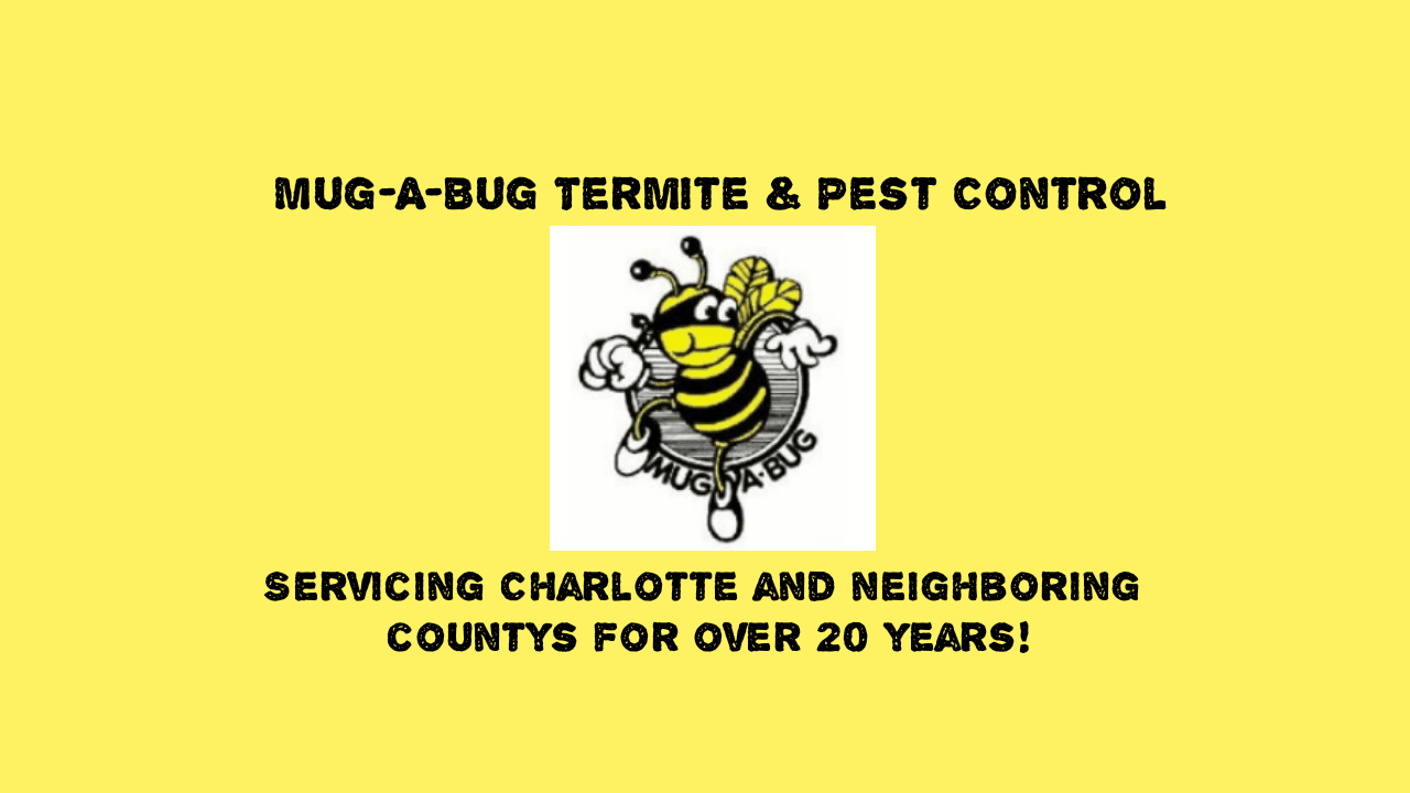 Mug-A-Bug Termite & Pest Control, photo 3