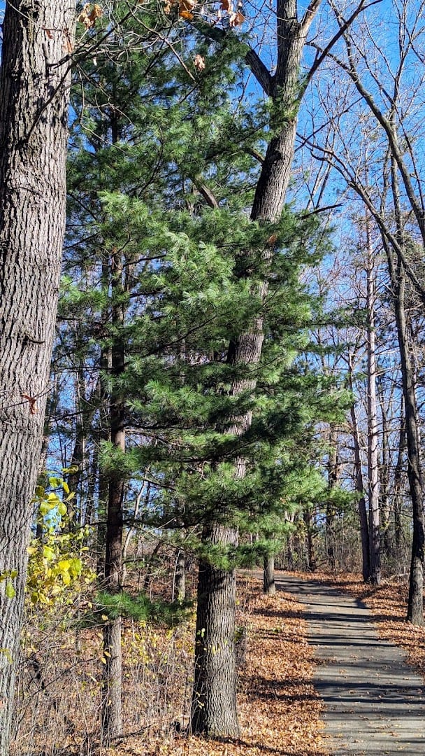 Urbandale Park, photo 3