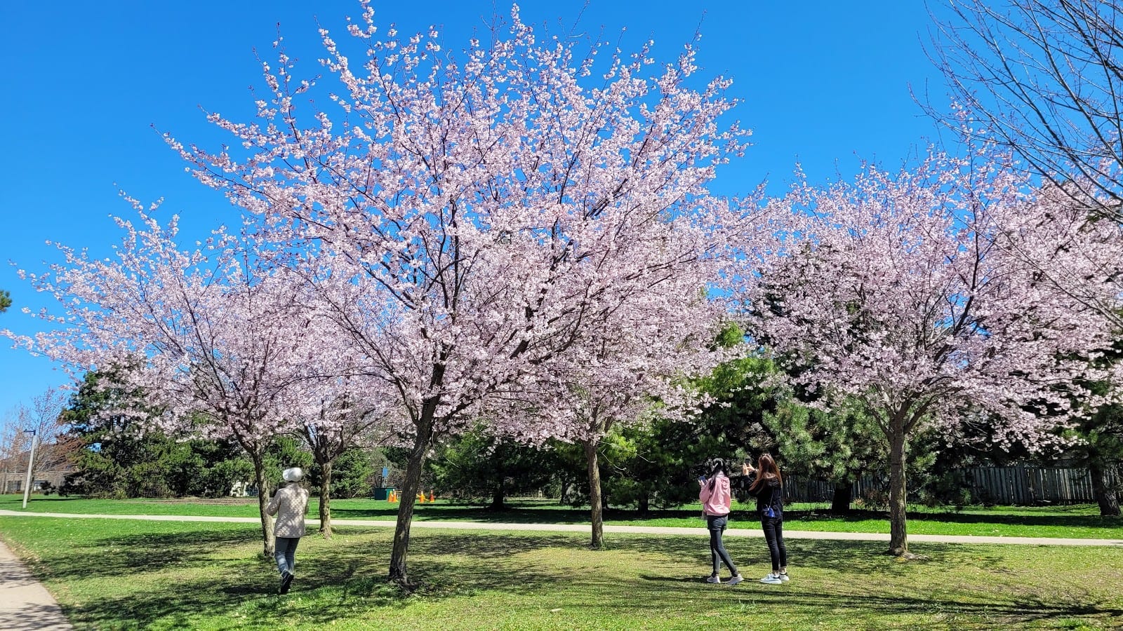 Sussex Park