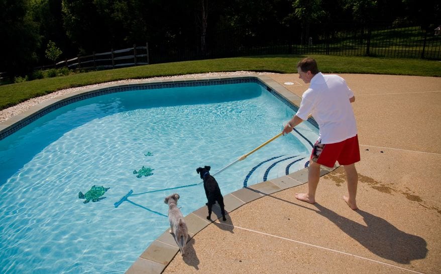 DMC Pools
