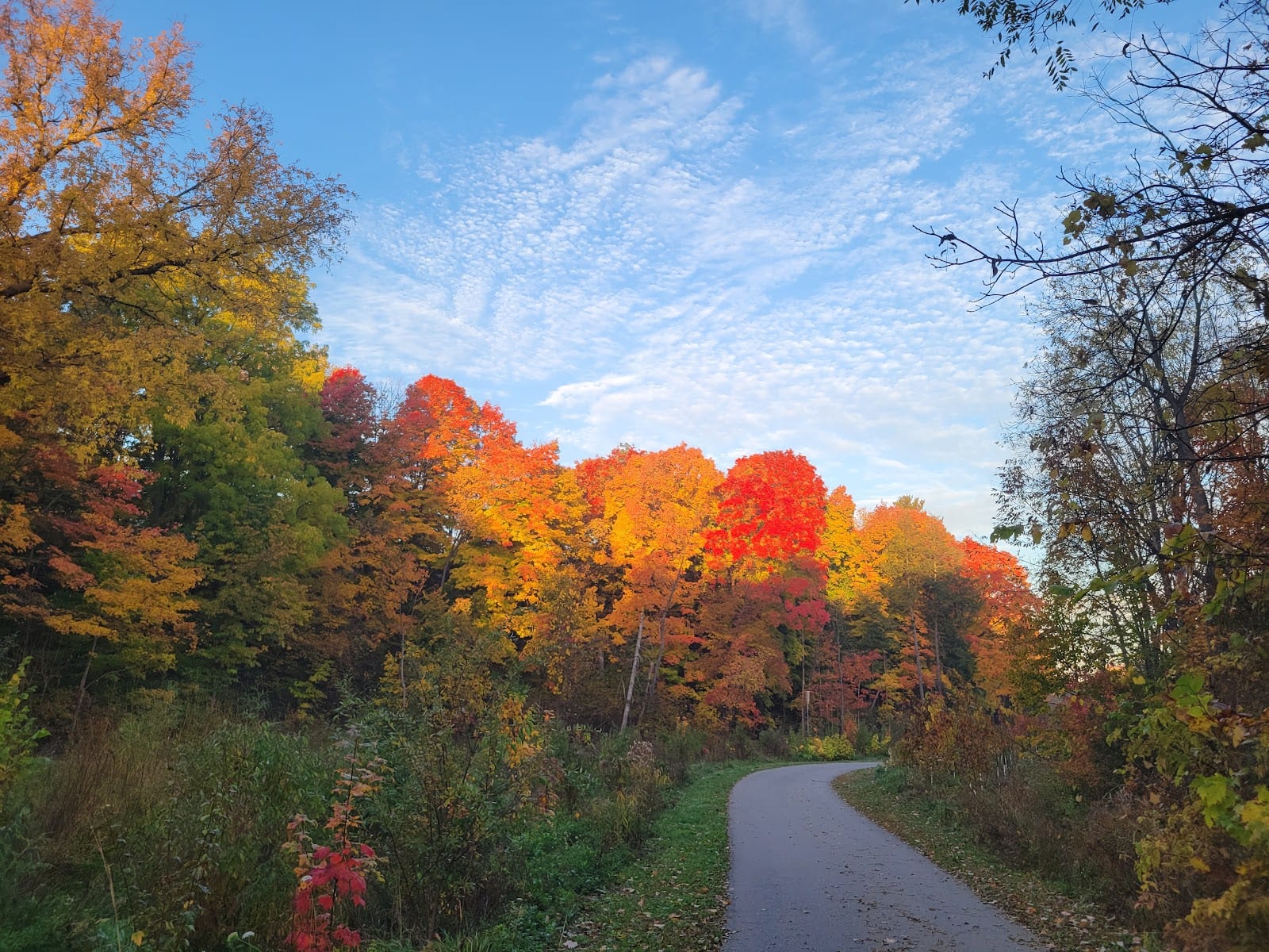 Duncan Creek Trail