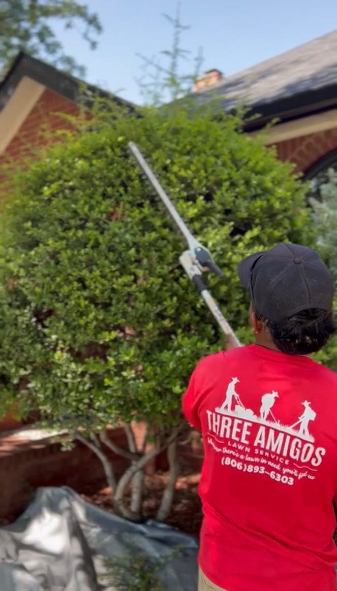 Three Amigos lawn care, photo 4
