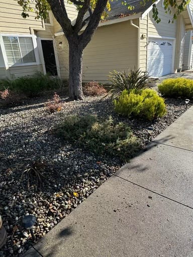 Mike's Gardening Service, photo 2