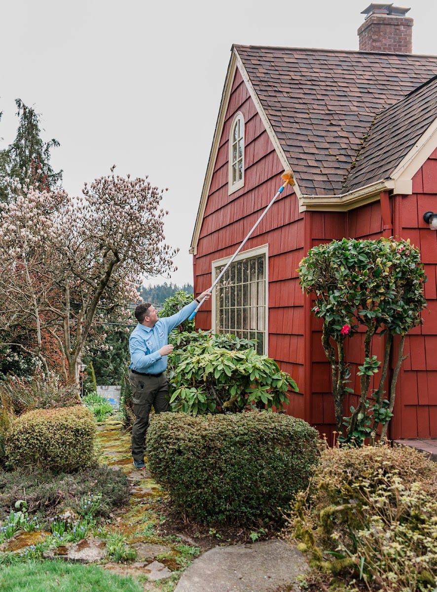 Insight Pest Control - Olympia, photo 3
