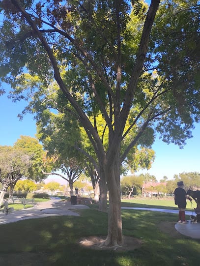The Arbors Paseo Park