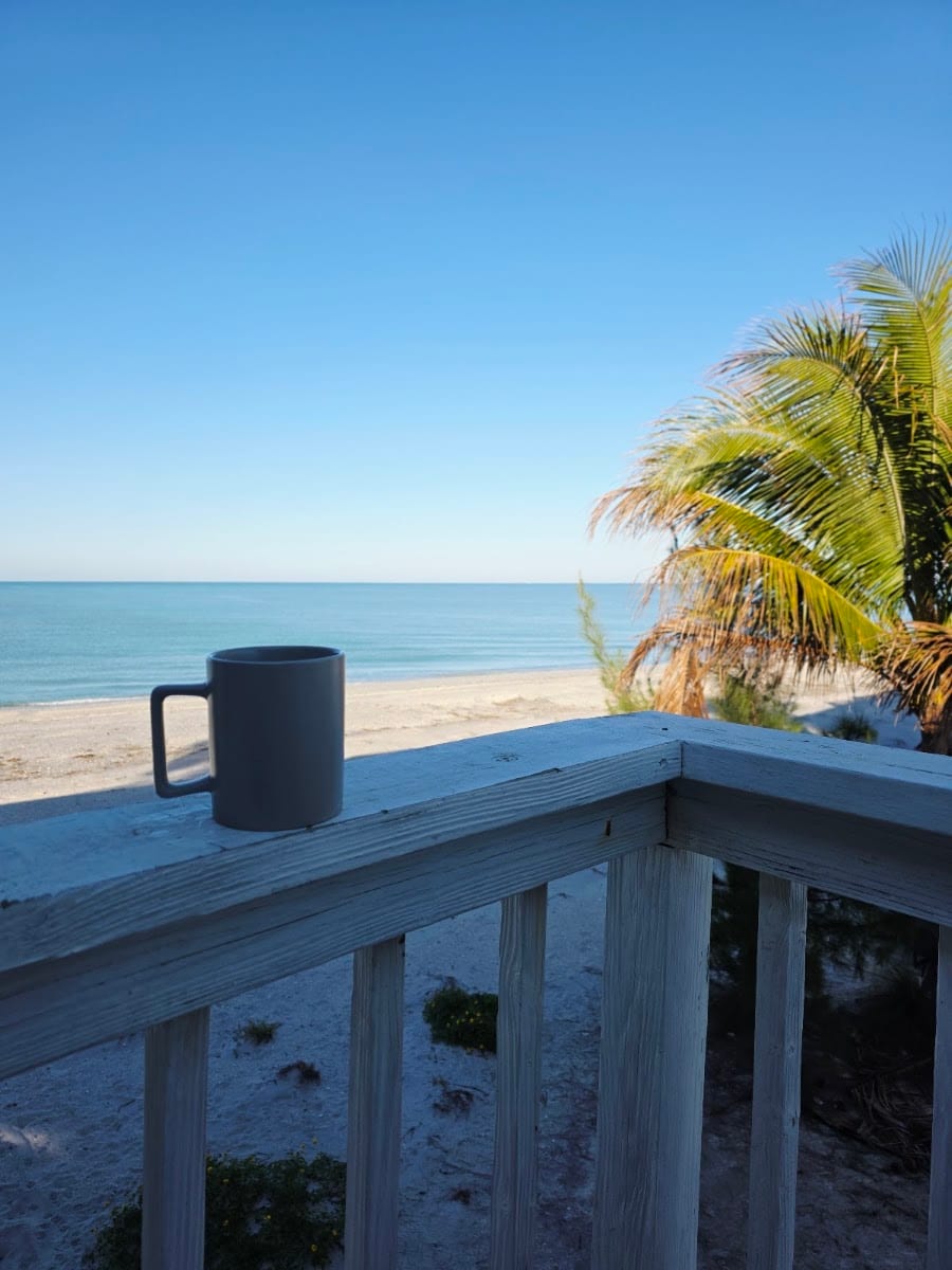 Tarpon Real Estate, photo 3