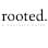 Rooted. A Southern Salon