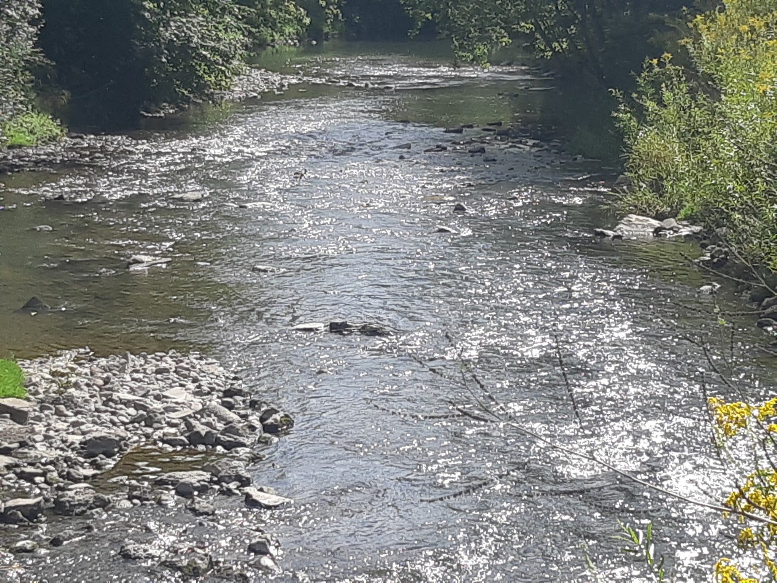 Upper Don Recreation Trail, Finch Ave. E. North Side Entrance