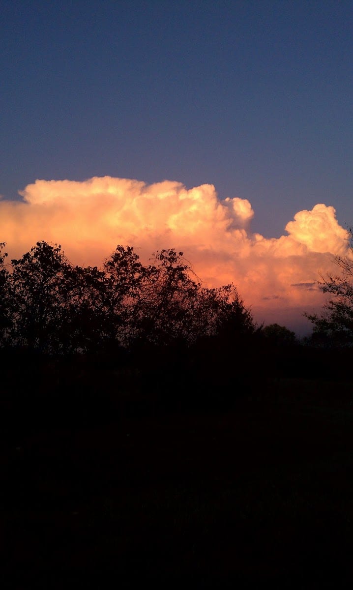 Mack Porter Park, photo 2