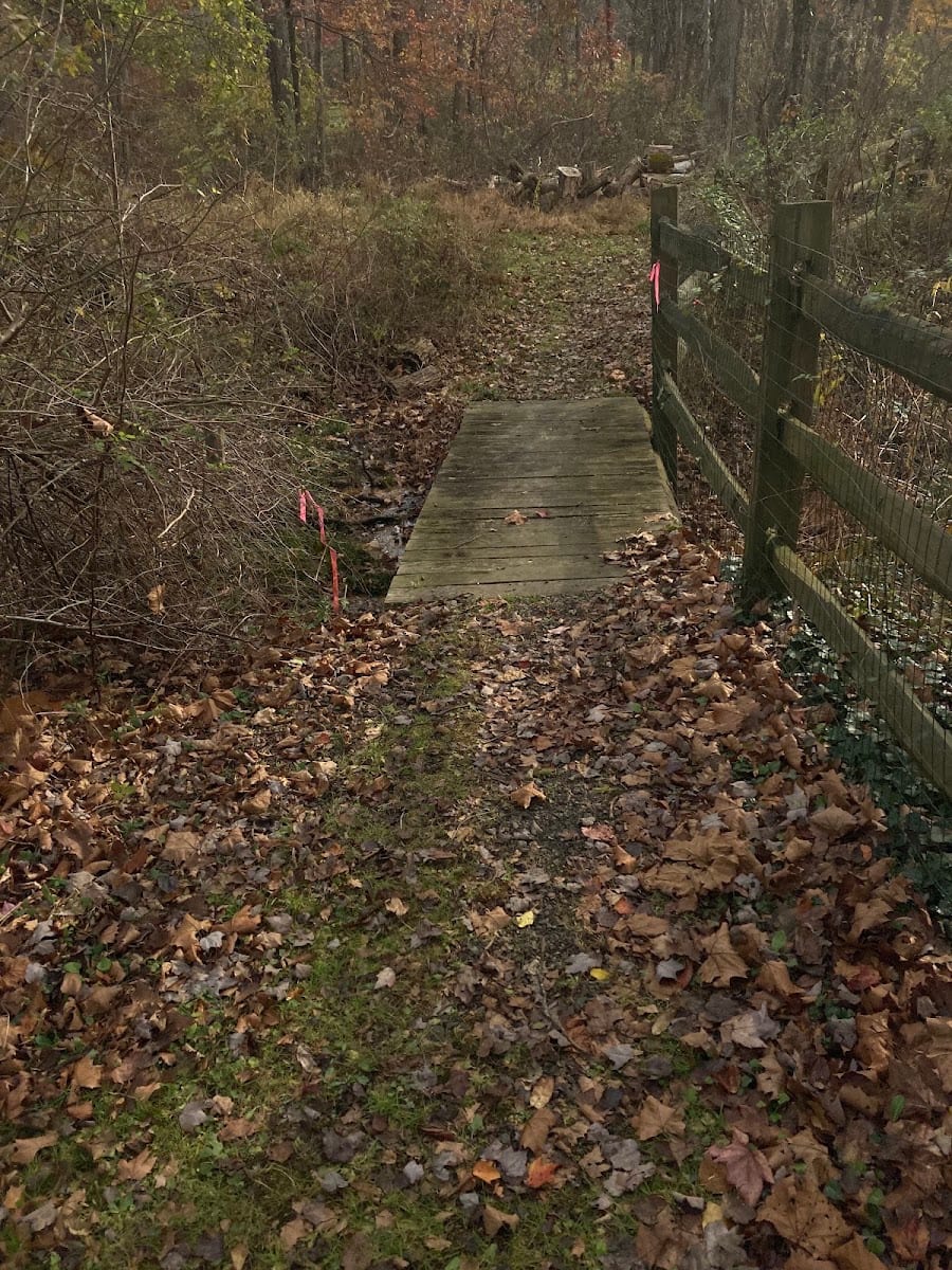Sauerman Park, photo 3