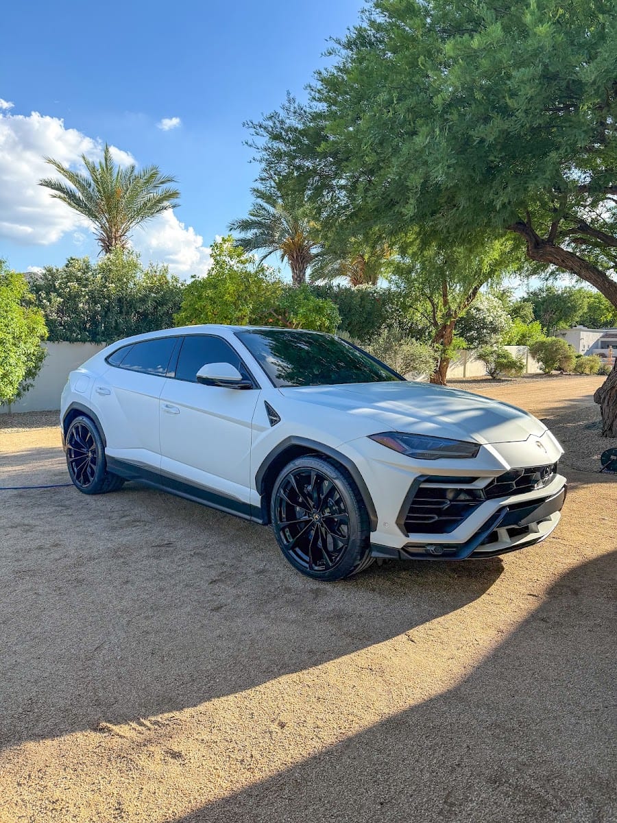 Fly Detailing & Tint