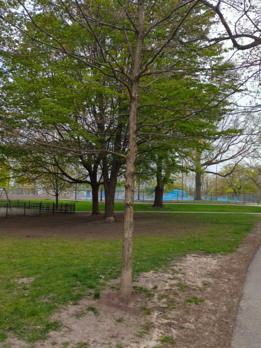 Monarch Park, photo 2