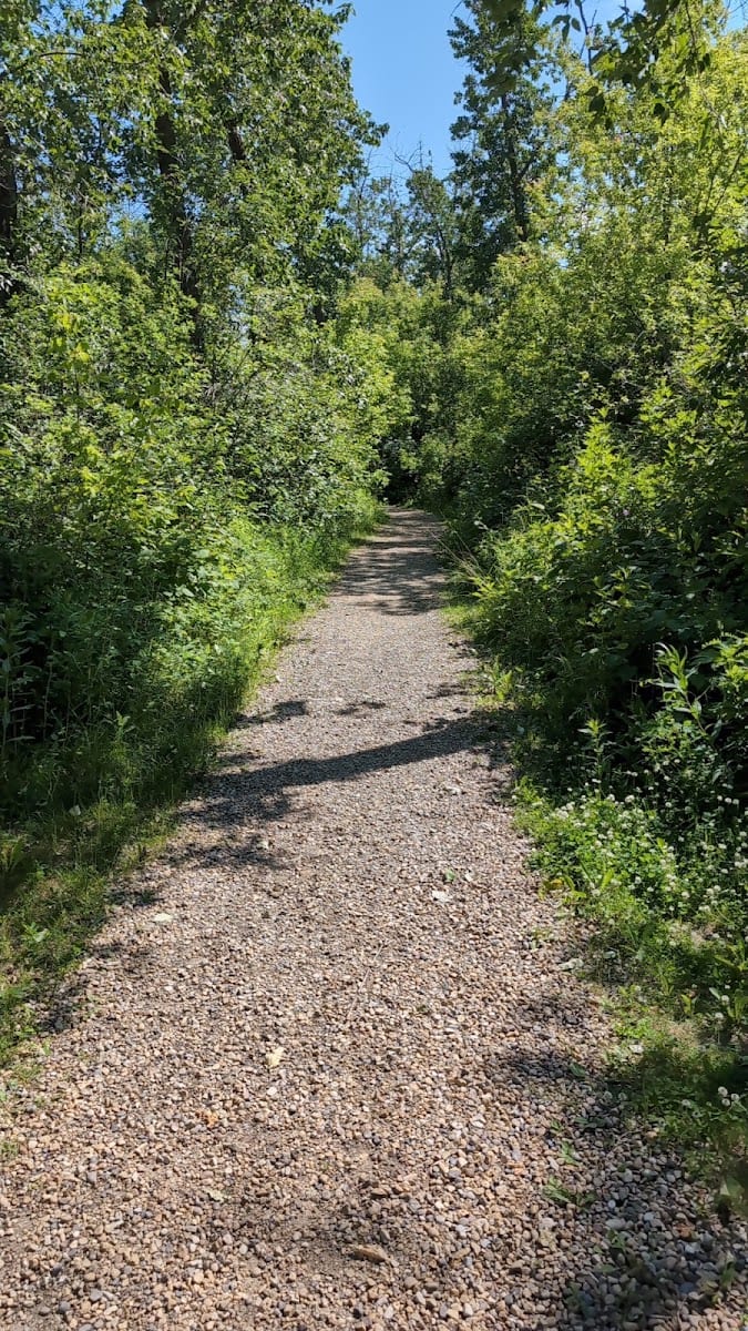 Ambleside park, photo 2