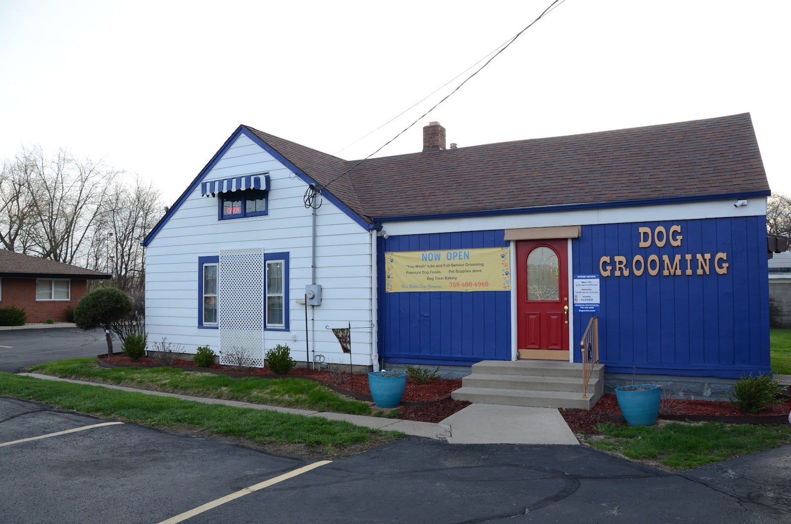Blue Ribbon Dog Grooming LLC Anderson, photo 3