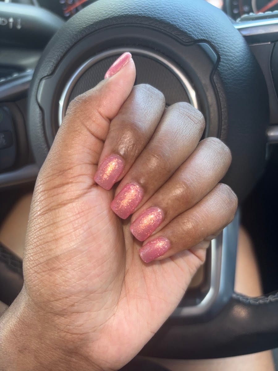 Venus Nails and Day Spa Tampa