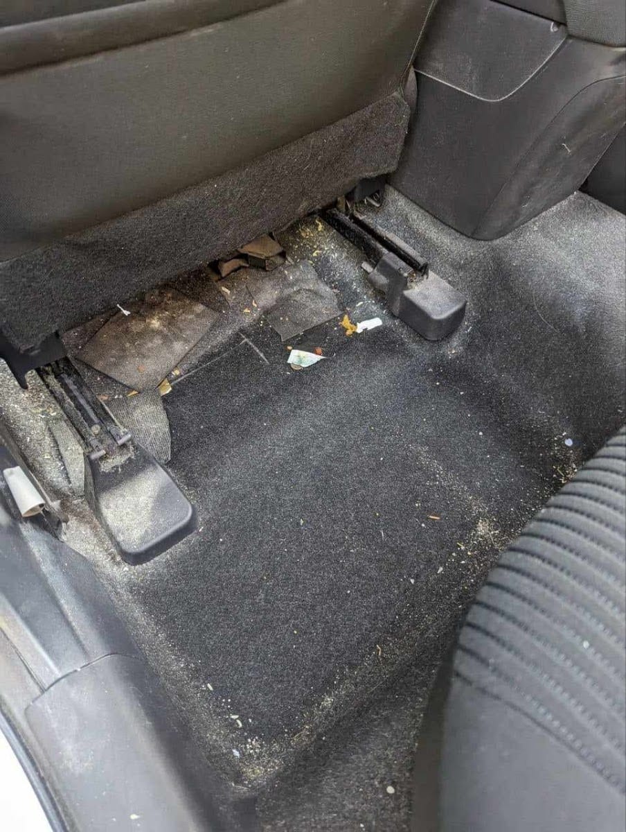 Mike's Automotive & Handyman Services