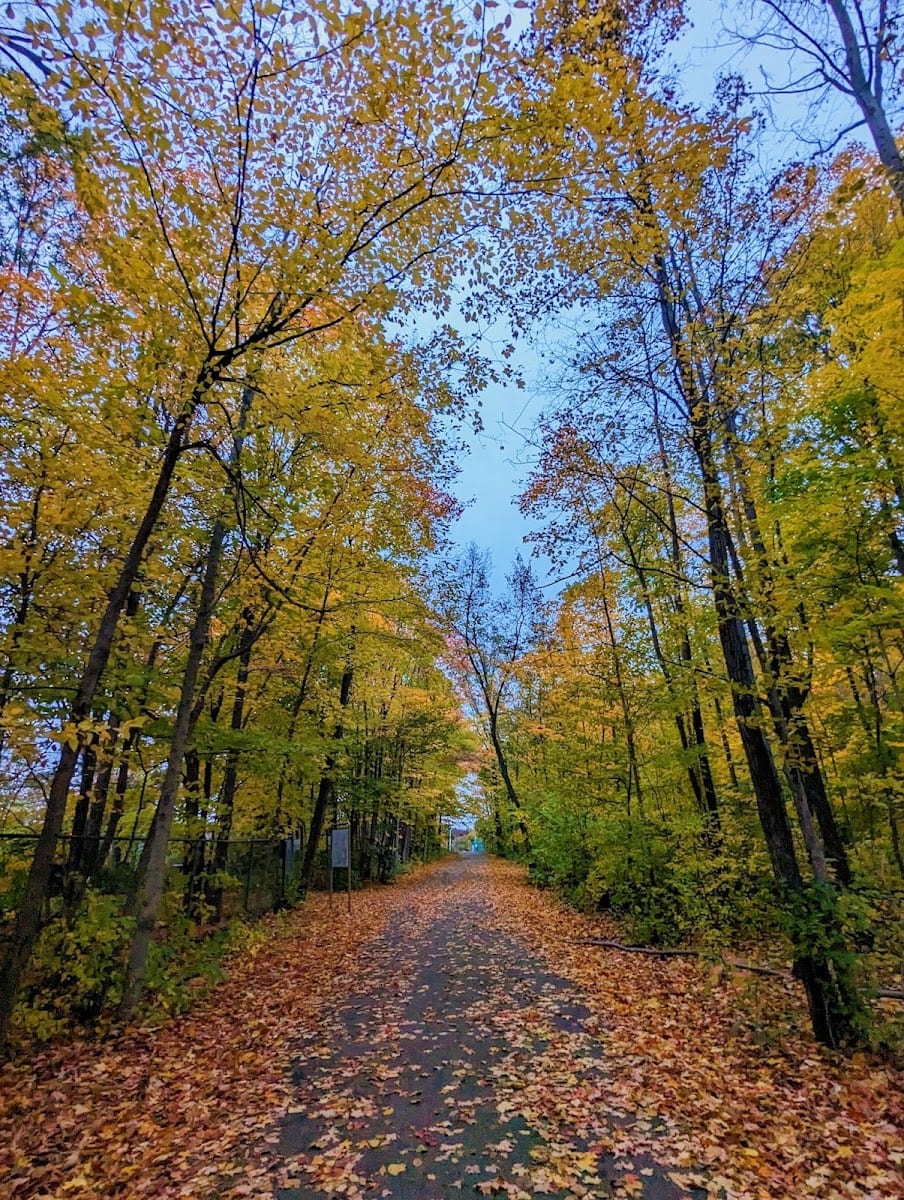 Bestview Park, photo 3