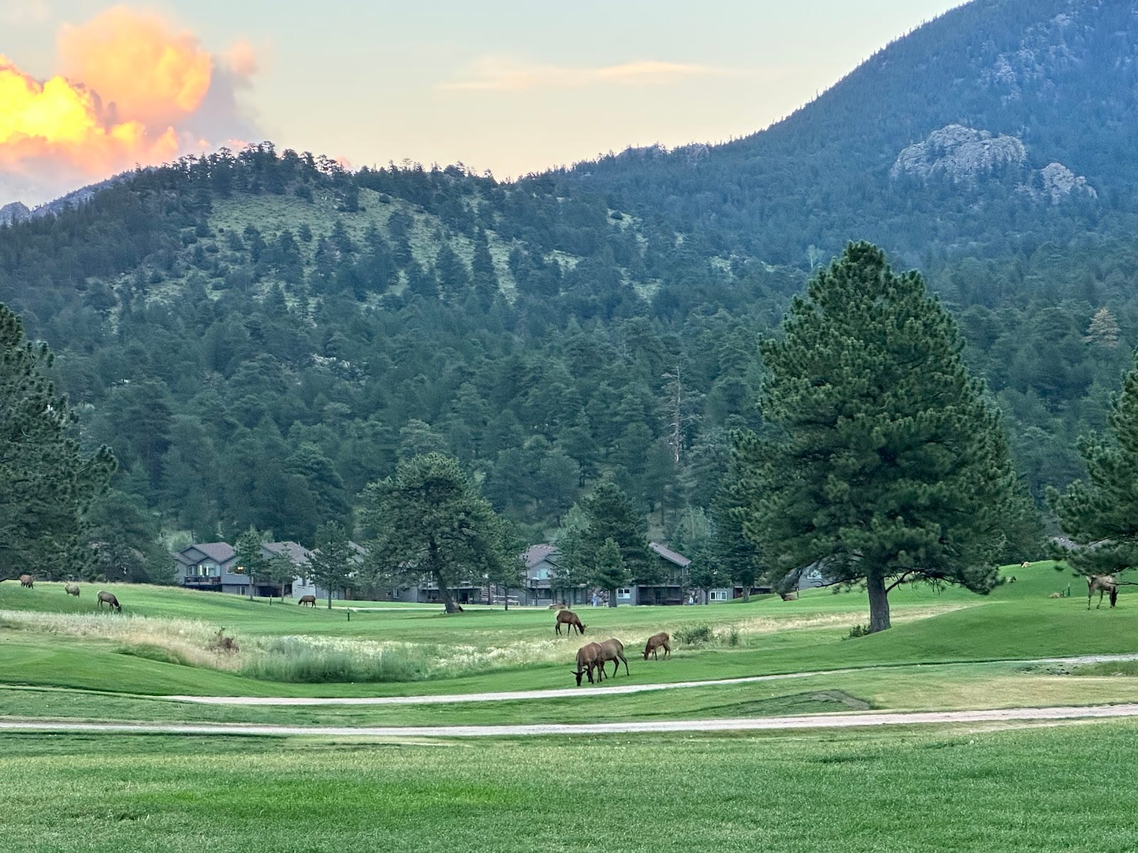 Mountianview Vacation Rentals, photo 4