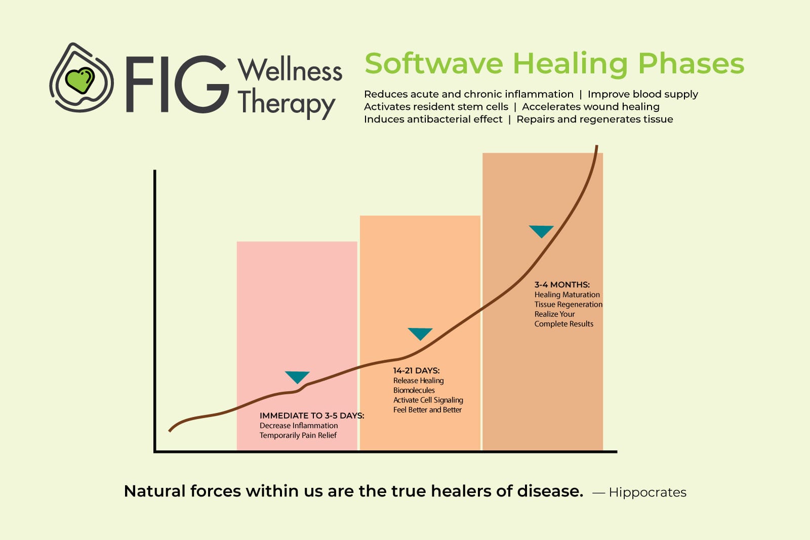 Fig Wellness Therapy, photo 3