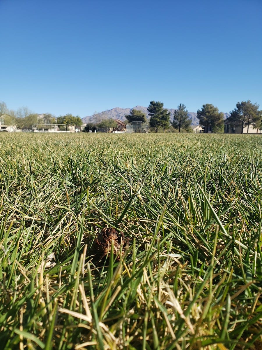 Spring Mountain Ranch Playground