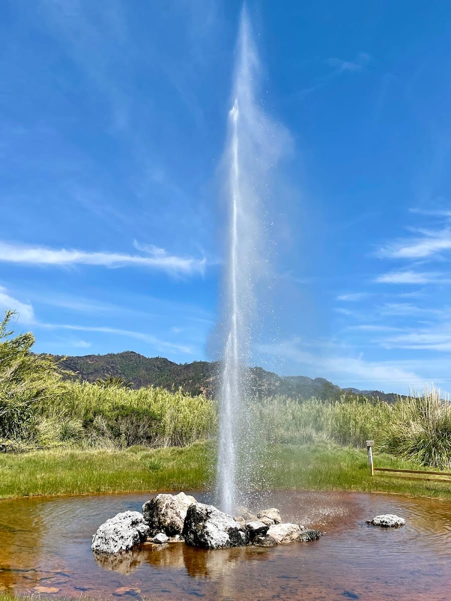 Old Faithful Geyser of California, photo 4