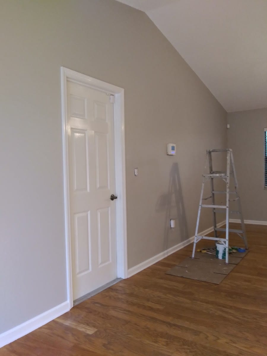 Paradise professional painting