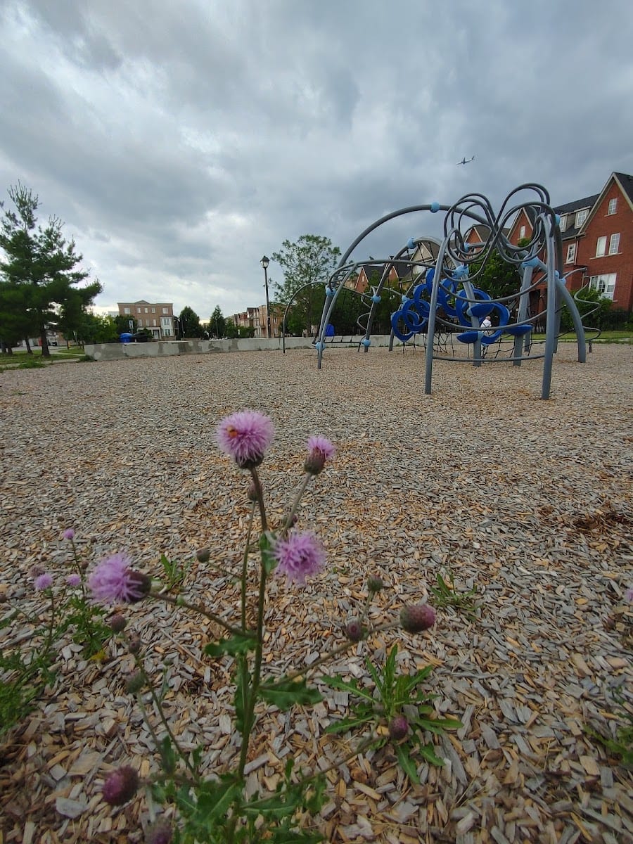 Jack Evelyn Wiggins Park