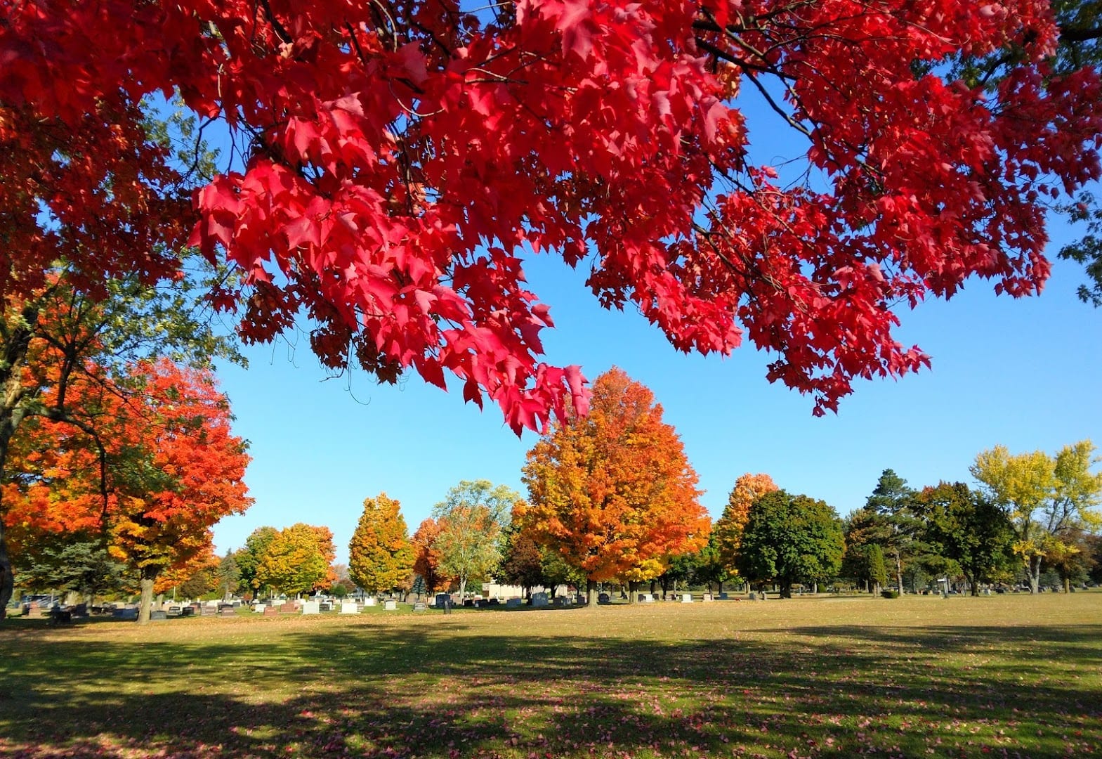 Battle Creek Memorial Park