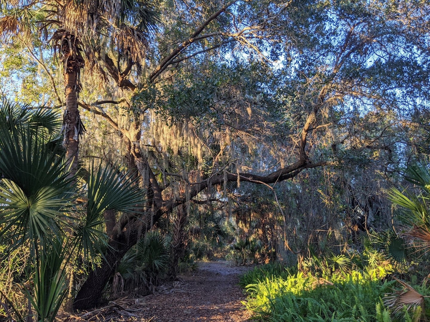 Audubon-Pennington Nature Park, photo 4